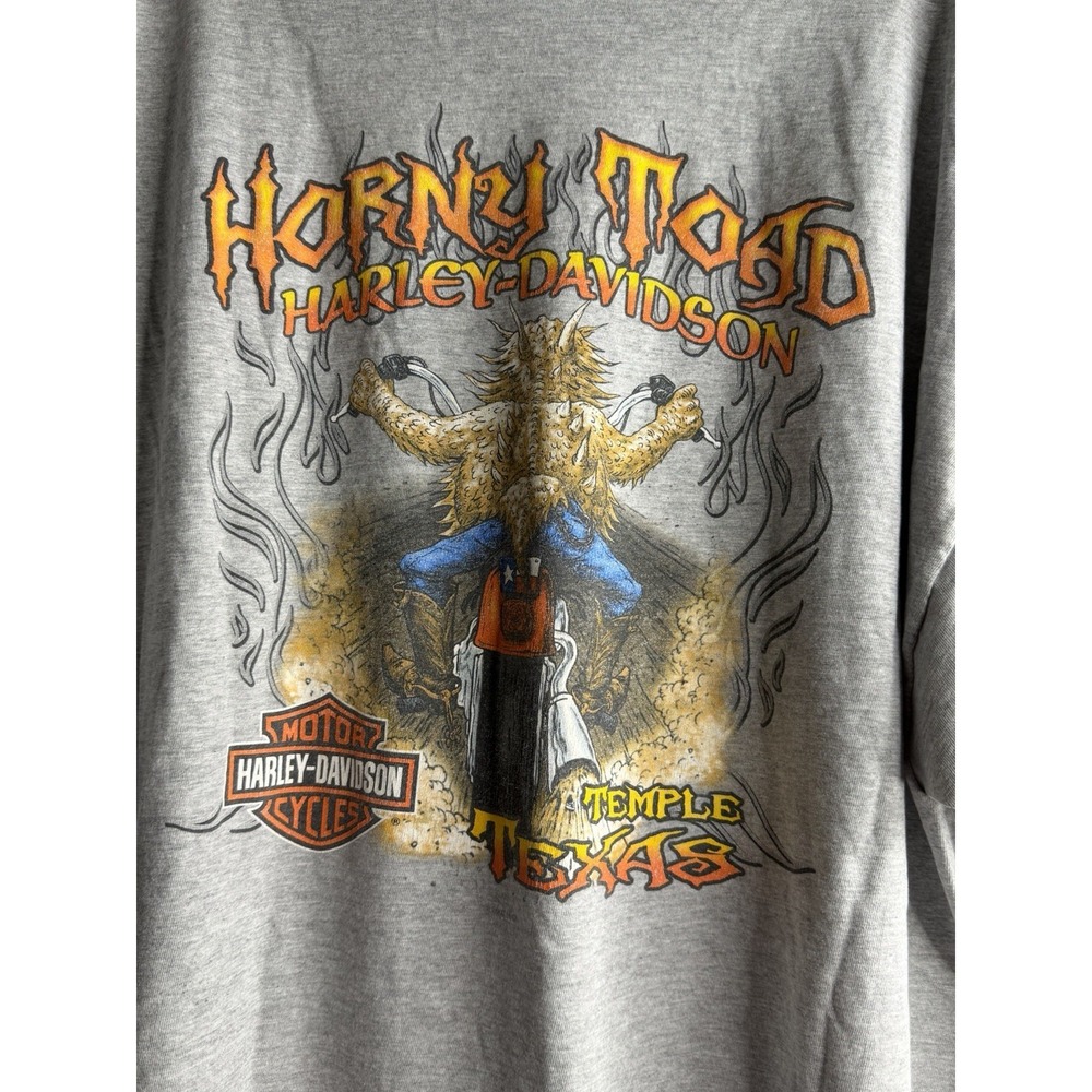 Vintage Harley-Davidson Temple Texas Horned Toad Men's T-Shirt , 3XL
